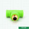 ISO15874 Tiêu chuẩn ISO15874 Phụ kiện ống nhựa màu xanh lá cây Hình dạng bằng nhau Tường bên trong nhẵn
