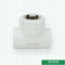 Có sẵn Technics White Ppr Pipe Phụ kiện Phụ kiện cho nữ Kích thước Tee có ren Iso9001