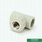 Phụ kiện ống PPR Tee có ren nữ Độ bền va đập tốt Tiêu chuẩn DIN 8007