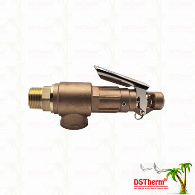Van an toàn bằng đồng 1/2"-2" Hệ thống đường ống Thiết bị bảo vệ quá áp LOGO tùy chỉnh