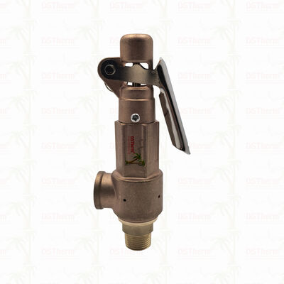 Van an toàn bằng đồng 1/2"-2" Hệ thống đường ống Thiết bị bảo vệ quá áp LOGO tùy chỉnh