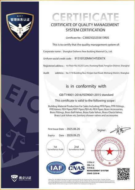 Trung Quốc DSTHERM INDUSTRIAL LIMITED Chứng chỉ